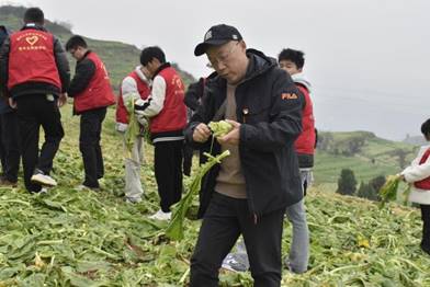 说明: _DSC1481