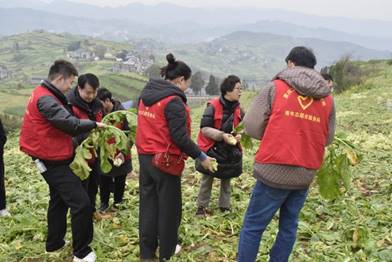 说明: _DSC1496